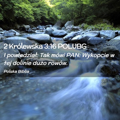 Picture 02 - 2 Królewska 3:16 POLUBG - I powiedział: Tak mówi PAN: Wykopcie w tej - Bible Verse Picture