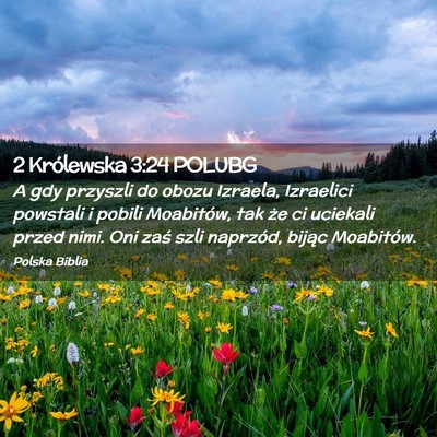 Picture 02 - 2 Królewska 3:24 POLUBG - A gdy przyszli do obozu Izraela, Izraelici - Bible Verse Picture