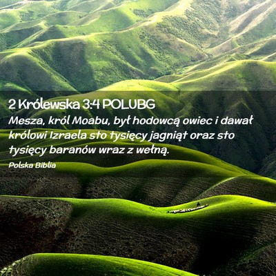 Picture 02 - 2 Królewska 3:4 POLUBG - Mesza, król Moabu, był hodowcą owiec i dawał - Bible Verse Picture