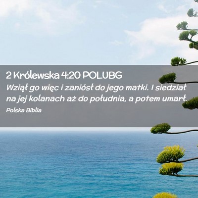 Picture 02 - 2 Królewska 4:20 POLUBG - Wziął go więc i zaniósł do jego matki. I - Bible Verse Picture