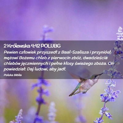 Picture 02 - 2 Królewska 4:42 POLUBG - Pewien człowiek przyszedł z Baal-Szalisza i - Bible Verse Picture