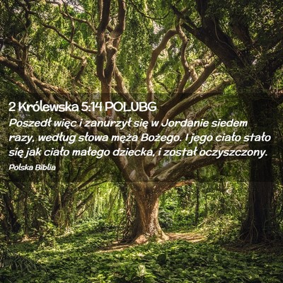 Picture 02 - 2 Królewska 5:14 POLUBG - Poszedł więc i zanurzył się w Jordanie siedem - Bible Verse Picture
