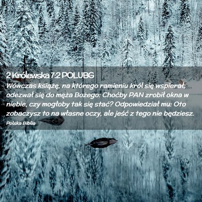 Picture 02 - 2 Królewska 7:2 POLUBG - Wówczas książę, na którego ramieniu król - Bible Verse Picture