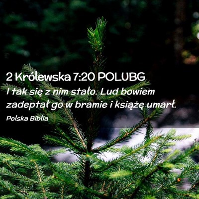 Picture 02 - 2 Królewska 7:20 POLUBG - I tak się z nim stało. Lud bowiem zadeptał go - Bible Verse Picture