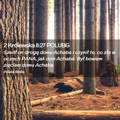 Picture 02 - 2 Królewska 8:27 POLUBG - Szedł on drogą domu Achaba i czynił to, co - Bible Verse Picture
