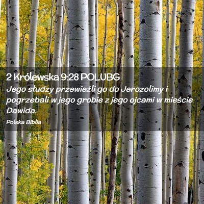 Picture 02 - 2 Królewska 9:28 POLUBG - Jego słudzy przewieźli go do Jerozolimy i - Bible Verse Picture
