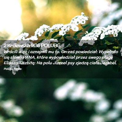 Picture 02 - 2 Królewska 9:36 POLUBG - Wrócili więc i oznajmili mu to. On zaś - Bible Verse Picture