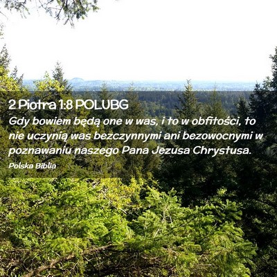 Picture 02 - 2 Piotra 1:8 POLUBG - Gdy bowiem będą one w was, i to w obfitości, - Bible Verse Picture