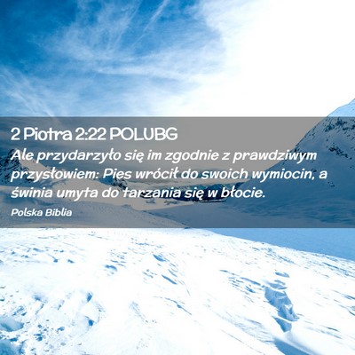 Picture 02 - 2 Piotra 2:22 POLUBG - Ale przydarzyło się im zgodnie z prawdziwym - Bible Verse Picture