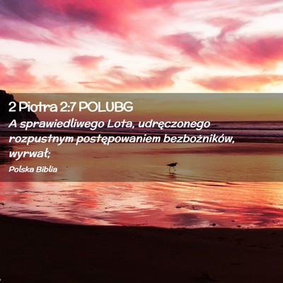 Picture 02 - 2 Piotra 2:7 POLUBG - A sprawiedliwego Lota, udręczonego rozpustnym - Bible Verse Picture