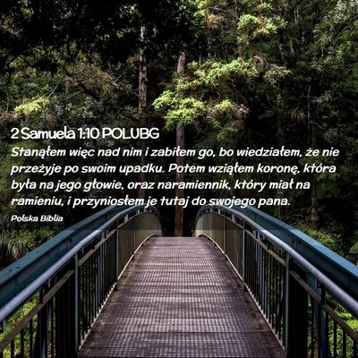 Picture 02 - 2 Samuela 1:10 POLUBG - Stanąłem więc nad nim i zabiłem go, bo - Bible Verse Picture