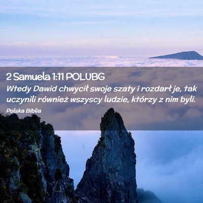 Picture 02 - 2 Samuela 1:11 POLUBG - Wtedy Dawid chwycił swoje szaty i rozdarł je, - Bible Verse Picture