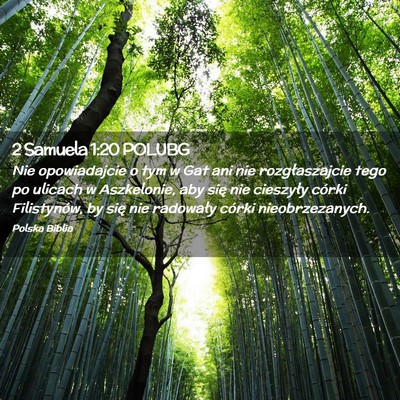 Picture 02 - 2 Samuela 1:20 POLUBG - Nie opowiadajcie o tym w Gat ani nie - Bible Verse Picture