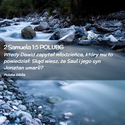 Picture 02 - 2 Samuela 1:5 POLUBG - Wtedy Dawid zapytał młodzieńca, który mu to - Bible Verse Picture