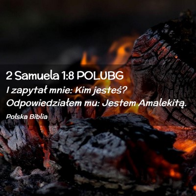 Picture 02 - 2 Samuela 1:8 POLUBG - I zapytał mnie: Kim jesteś? Odpowiedziałem mu: - Bible Verse Picture