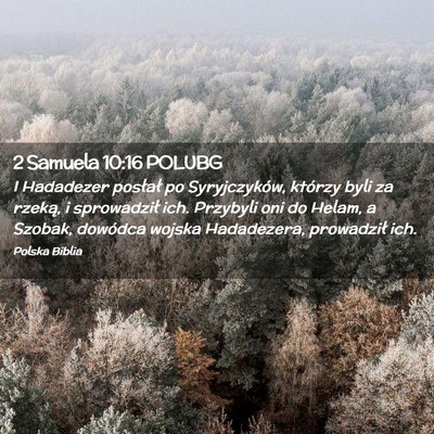 Picture 02 - 2 Samuela 10:16 POLUBG - I Hadadezer posłał po Syryjczyków, którzy - Bible Verse Picture