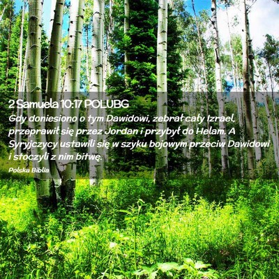 Picture 02 - 2 Samuela 10:17 POLUBG - Gdy doniesiono o tym Dawidowi, zebrał cały - Bible Verse Picture
