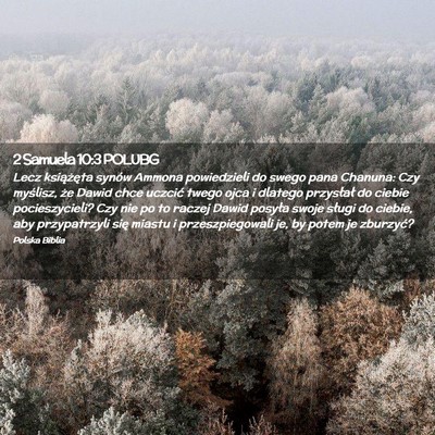 Picture 02 - 2 Samuela 10:3 POLUBG - Lecz książęta synów Ammona powiedzieli do - Bible Verse Picture