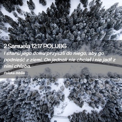 Picture 02 - 2 Samuela 12:17 POLUBG - I starsi jego domu przyszli do niego, aby go - Bible Verse Picture