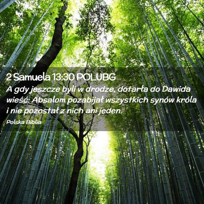 Picture 02 - 2 Samuela 13:30 POLUBG - A gdy jeszcze byli w drodze, dotarła do Dawida - Bible Verse Picture