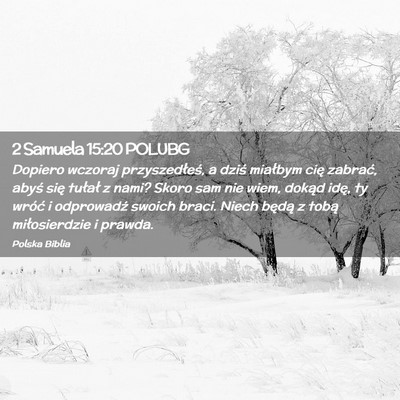 Picture 02 - 2 Samuela 15:20 POLUBG - Dopiero wczoraj przyszedłeś, a dziś miałbym - Bible Verse Picture