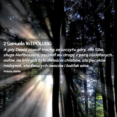 Picture 02 - 2 Samuela 16:1 POLUBG - A gdy Dawid zszedł trochę ze szczytu góry, oto - Bible Verse Picture