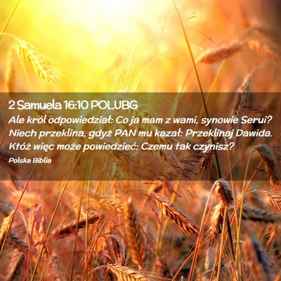 Picture 02 - 2 Samuela 16:10 POLUBG - Ale król odpowiedział: Co ja mam z wami, - Bible Verse Picture
