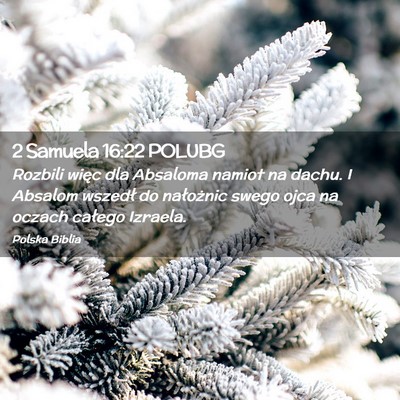 Picture 02 - 2 Samuela 16:22 POLUBG - Rozbili więc dla Absaloma namiot na dachu. I - Bible Verse Picture
