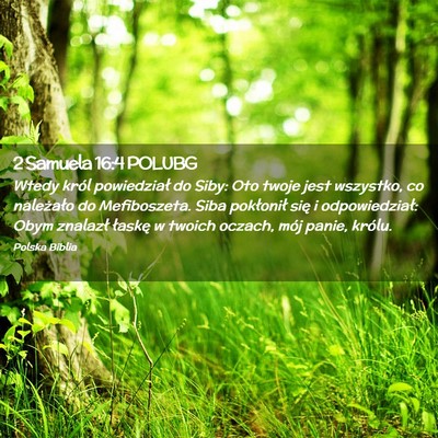 Picture 02 - 2 Samuela 16:4 POLUBG - Wtedy król powiedział do Siby: Oto twoje jest - Bible Verse Picture
