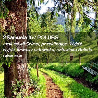 Picture 02 - 2 Samuela 16:7 POLUBG - I tak mówił Szimei, przeklinając: Wyjdź, - Bible Verse Picture