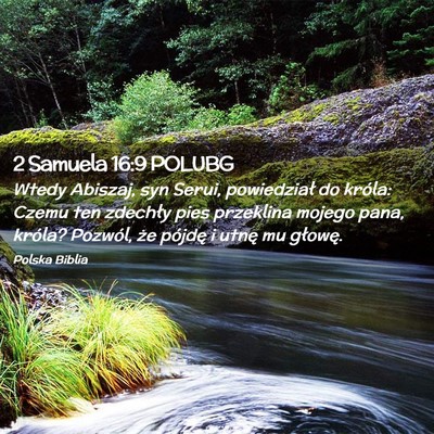 Picture 02 - 2 Samuela 16:9 POLUBG - Wtedy Abiszaj, syn Serui, powiedział do króla: - Bible Verse Picture