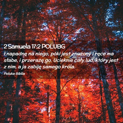 Picture 02 - 2 Samuela 17:2 POLUBG - I napadnę na niego, póki jest znużony i ręce - Bible Verse Picture