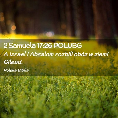 Picture 02 - 2 Samuela 17:26 POLUBG - A Izrael i Absalom rozbili obóz w ziemi - Bible Verse Picture