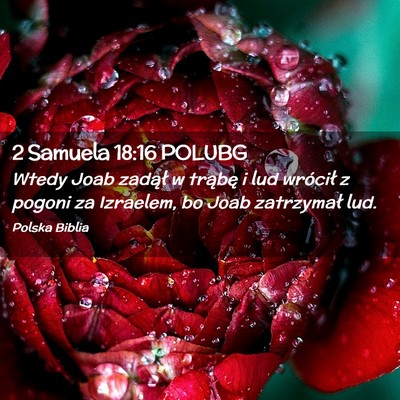 Picture 02 - 2 Samuela 18:16 POLUBG - Wtedy Joab zadął w trąbę i lud wrócił z - Bible Verse Picture
