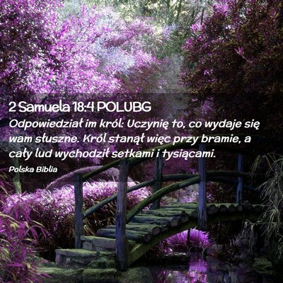 Picture 02 - 2 Samuela 18:4 POLUBG - Odpowiedział im król: Uczynię to, co wydaje - Bible Verse Picture