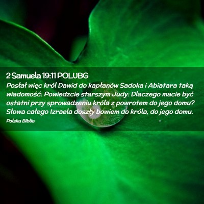 Picture 02 - 2 Samuela 19:11 POLUBG - Posłał więc król Dawid do kapłanów Sadoka i - Bible Verse Picture