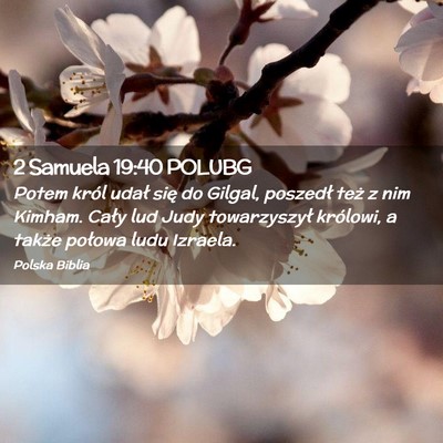 Picture 02 - 2 Samuela 19:40 POLUBG - Potem król udał się do Gilgal, poszedł też z - Bible Verse Picture