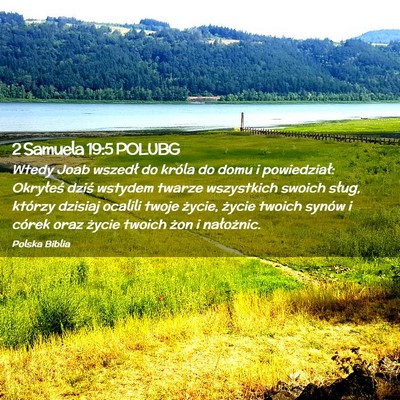 Picture 02 - 2 Samuela 19:5 POLUBG - Wtedy Joab wszedł do króla do domu i - Bible Verse Picture