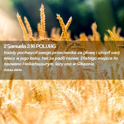 Picture 02 - 2 Samuela 2:16 POLUBG - Każdy pochwycił swego przeciwnika za głowę i - Bible Verse Picture