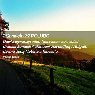 Picture 02 - 2 Samuela 2:2 POLUBG - Dawid wyruszył więc tam razem ze swoimi dwiema - Bible Verse Picture