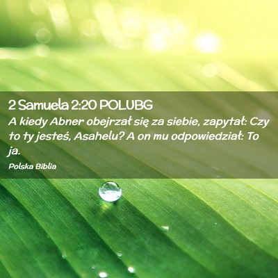 Picture 02 - 2 Samuela 2:20 POLUBG - A kiedy Abner obejrzał się za siebie, zapytał: - Bible Verse Picture