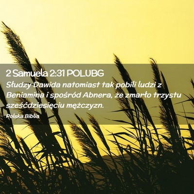 Picture 02 - 2 Samuela 2:31 POLUBG - Słudzy Dawida natomiast tak pobili ludzi z - Bible Verse Picture