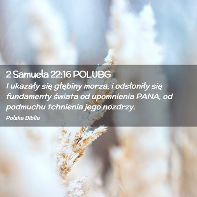 Picture 02 - 2 Samuela 22:16 POLUBG - I ukazały się głębiny morza, i odsłoniły - Bible Verse Picture