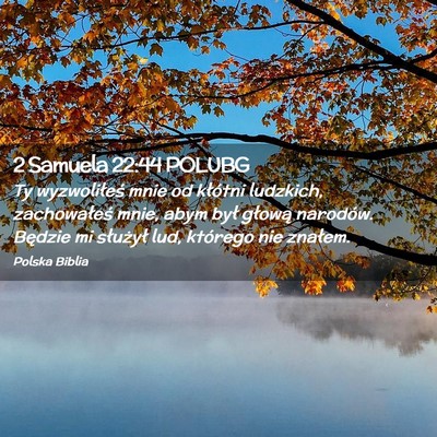 Picture 02 - 2 Samuela 22:44 POLUBG - Ty wyzwoliłeś mnie od kłótni ludzkich, - Bible Verse Picture