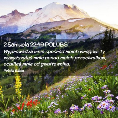 Picture 02 - 2 Samuela 22:49 POLUBG - Wyprowadza mnie spośród moich wrogów. Ty - Bible Verse Picture