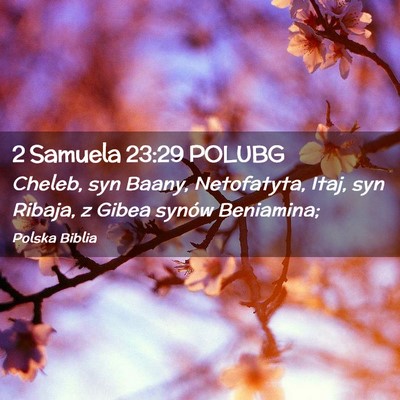 Picture 02 - 2 Samuela 23:29 POLUBG - Cheleb, syn Baany, Netofatyta, Itaj, syn Ribaja, - Bible Verse Picture