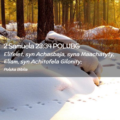 Picture 02 - 2 Samuela 23:34 POLUBG - Elifelet, syn Achasbaja, syna Maachatyty, Eliam, - Bible Verse Picture