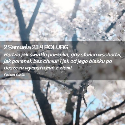 Picture 02 - 2 Samuela 23:4 POLUBG - Będzie jak światło poranka, gdy słońce - Bible Verse Picture