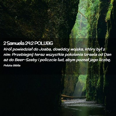 Picture 02 - 2 Samuela 24:2 POLUBG - Król powiedział do Joaba, dowódcy wojska, - Bible Verse Picture