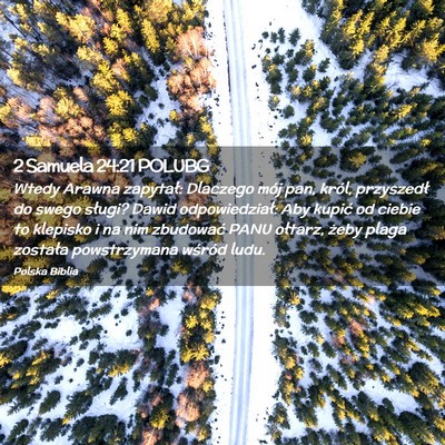 Picture 02 - 2 Samuela 24:21 POLUBG - Wtedy Arawna zapytał: Dlaczego mój pan, król, - Bible Verse Picture